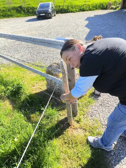 Weidedraht angebracht - 270426